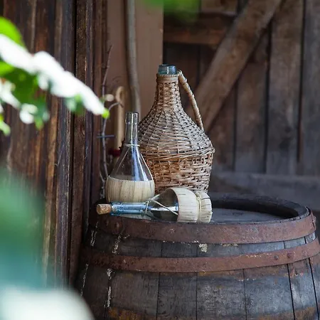 Monika Apartamento Wenns